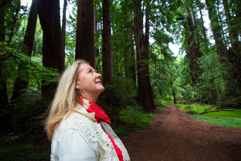 Muir Woods Redwood Forest and Sausalito with Park Admission — Redwood Yosemite Tours Woman Redwood Forest Path