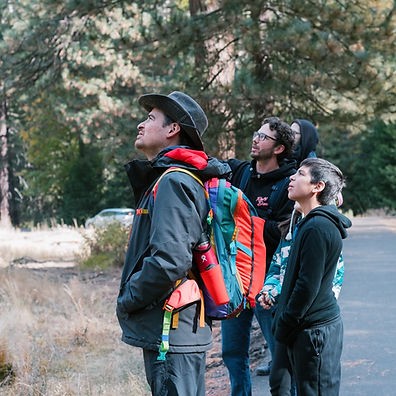 a, group, looking, up, at, the, trees Yosemitealpinequest A Group Looking Up At