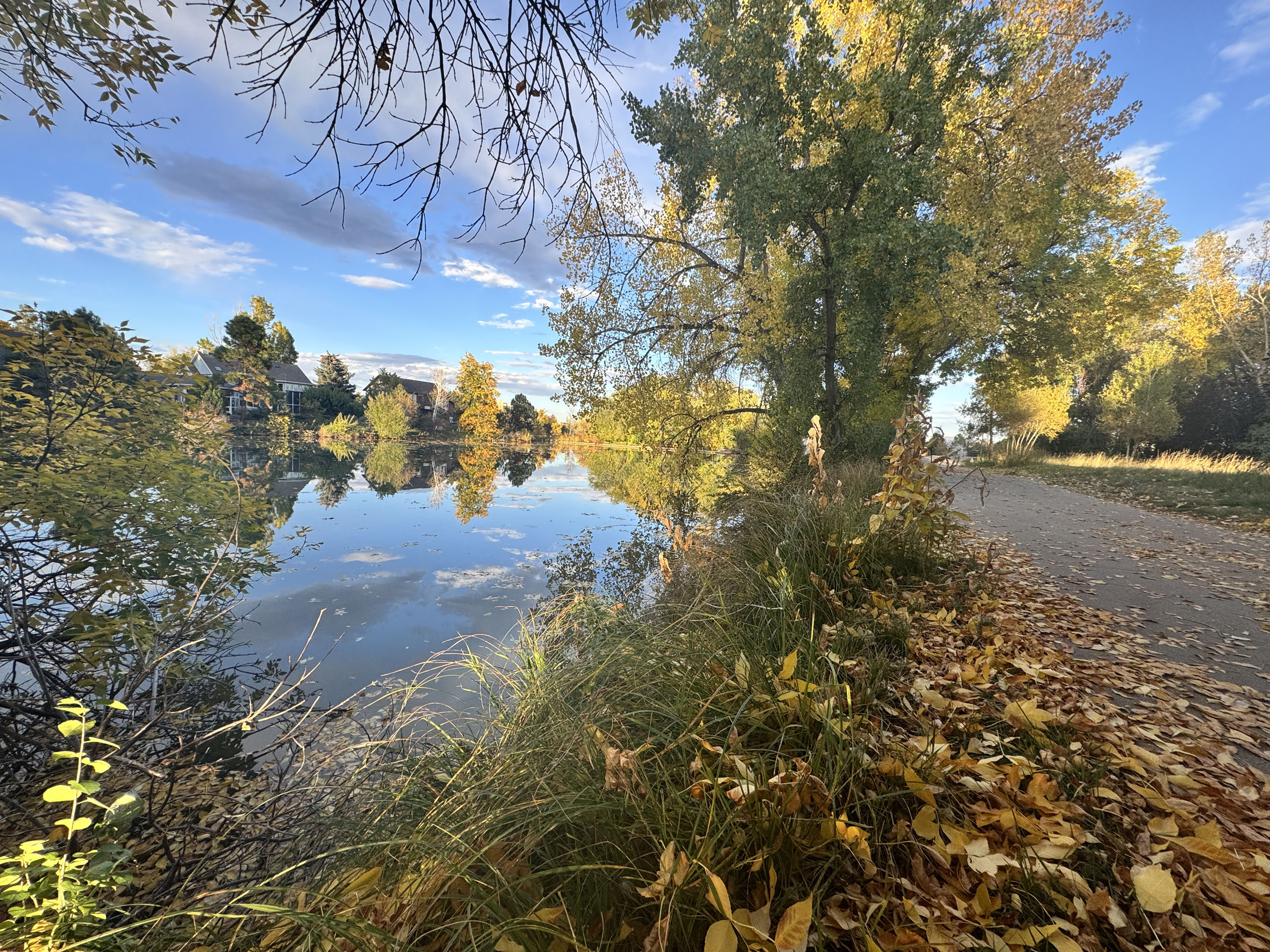 Fort_Collins-calm-pond-in-fall-spring-creek-path-trail_7799