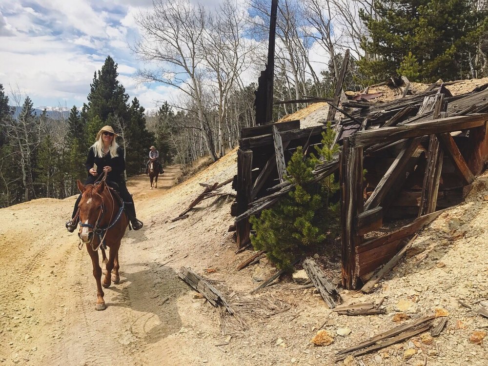 One Hour Horseback Ride