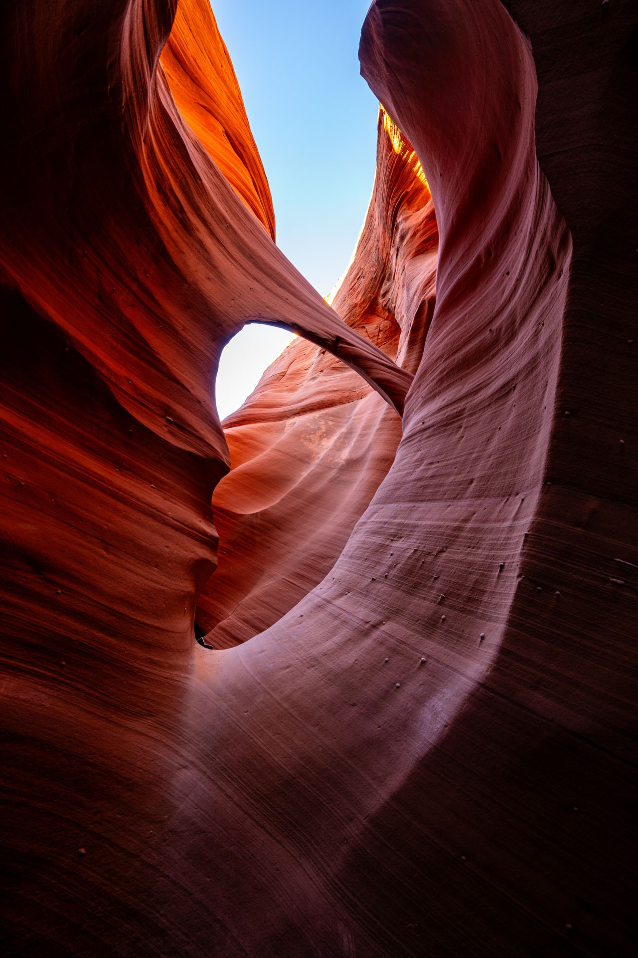 Rattlesnake & Owl Slot Canyon Tour