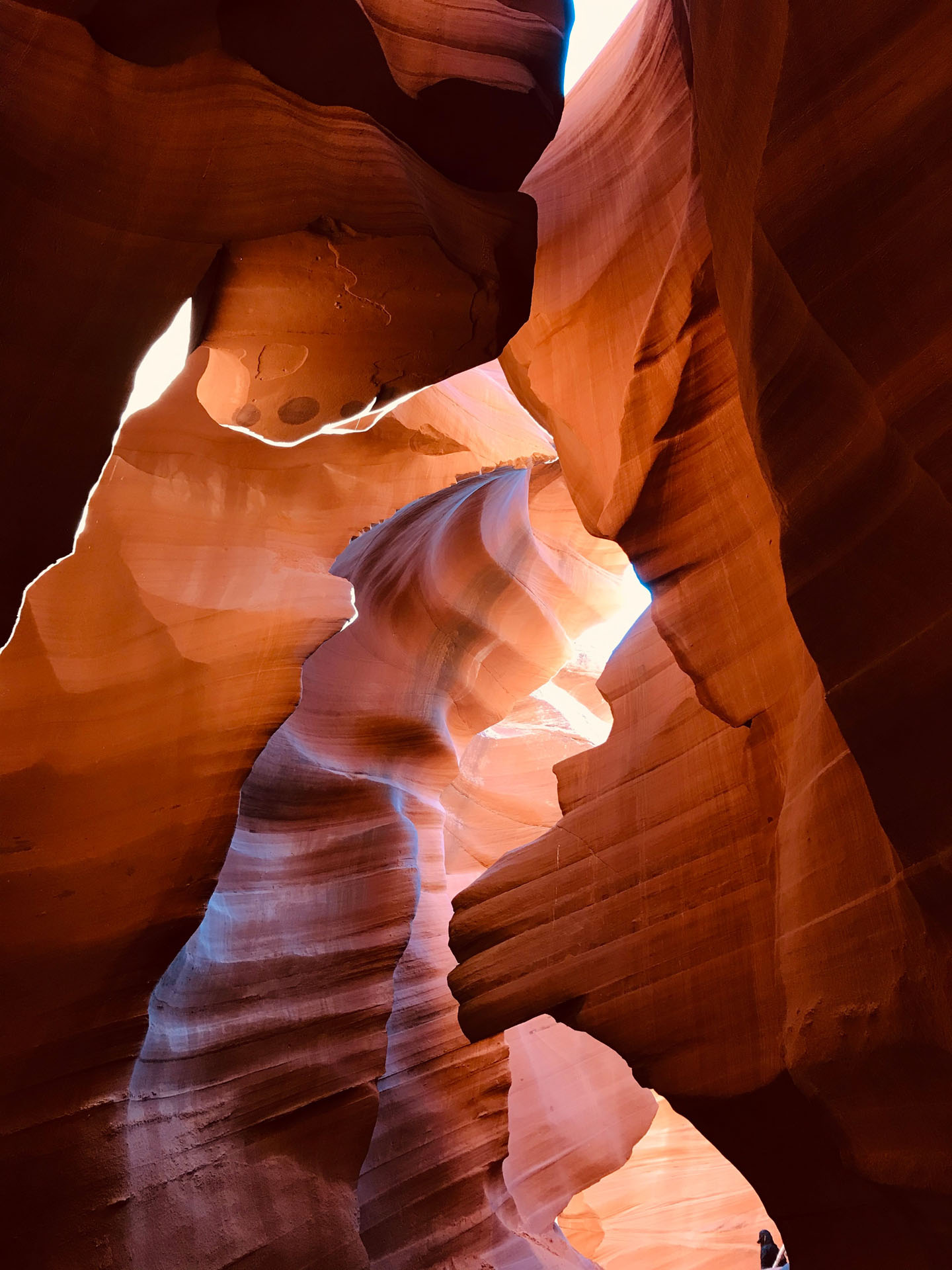 dinehtours_lower-antelope-canyon-and-horseshoe-bend-lower-antelope-canyon-red-rocks