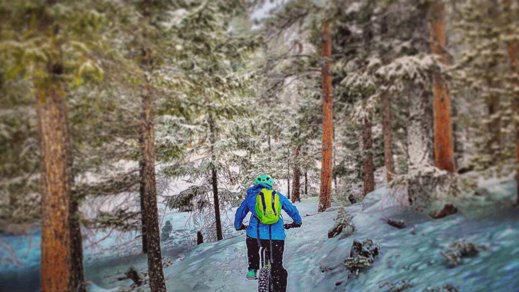 frontrangerideguides_half-day-winter-fat-bike-tour-fat-bike-winter-forest-trail