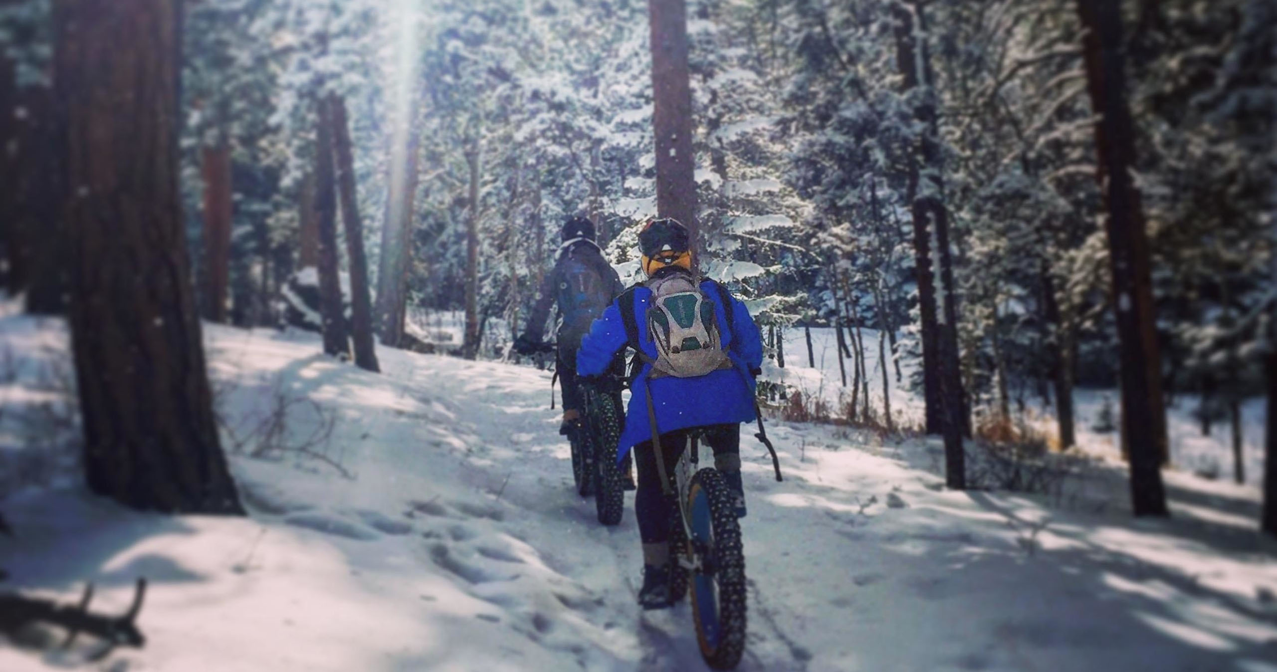 frontrangerideguides_half-day-winter-fat-bike-tour-fat-bikers-snowy-forest-colorado