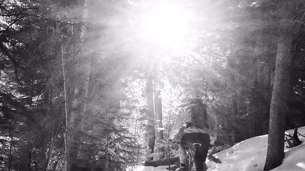 frontrangerideguides_half-day-winter-fat-bike-tour-winter-fat-bike-forest-sunlight