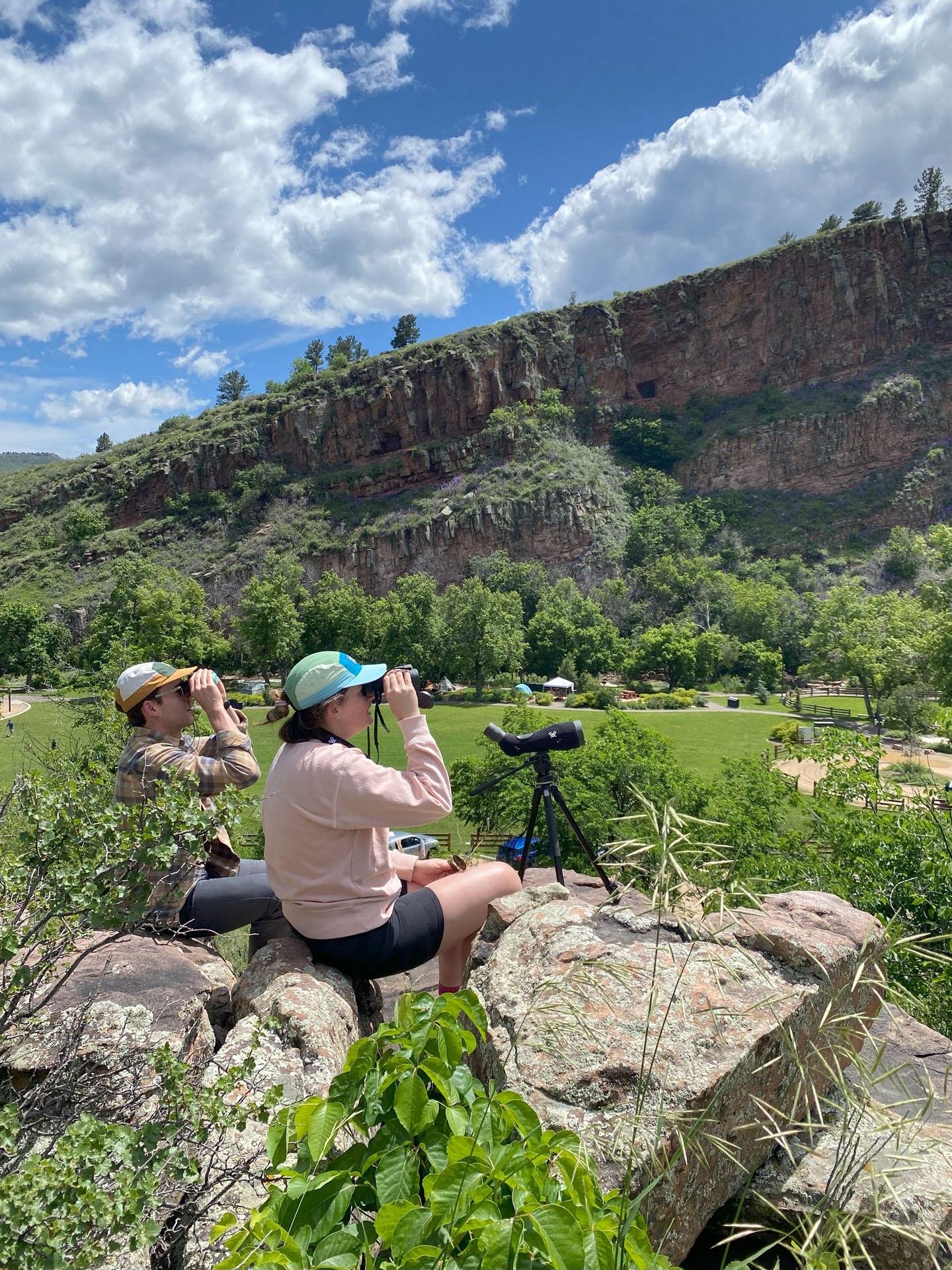 gobirdingman_beak-and-talon-birdwatchers-rocky-hilltop-colorado
