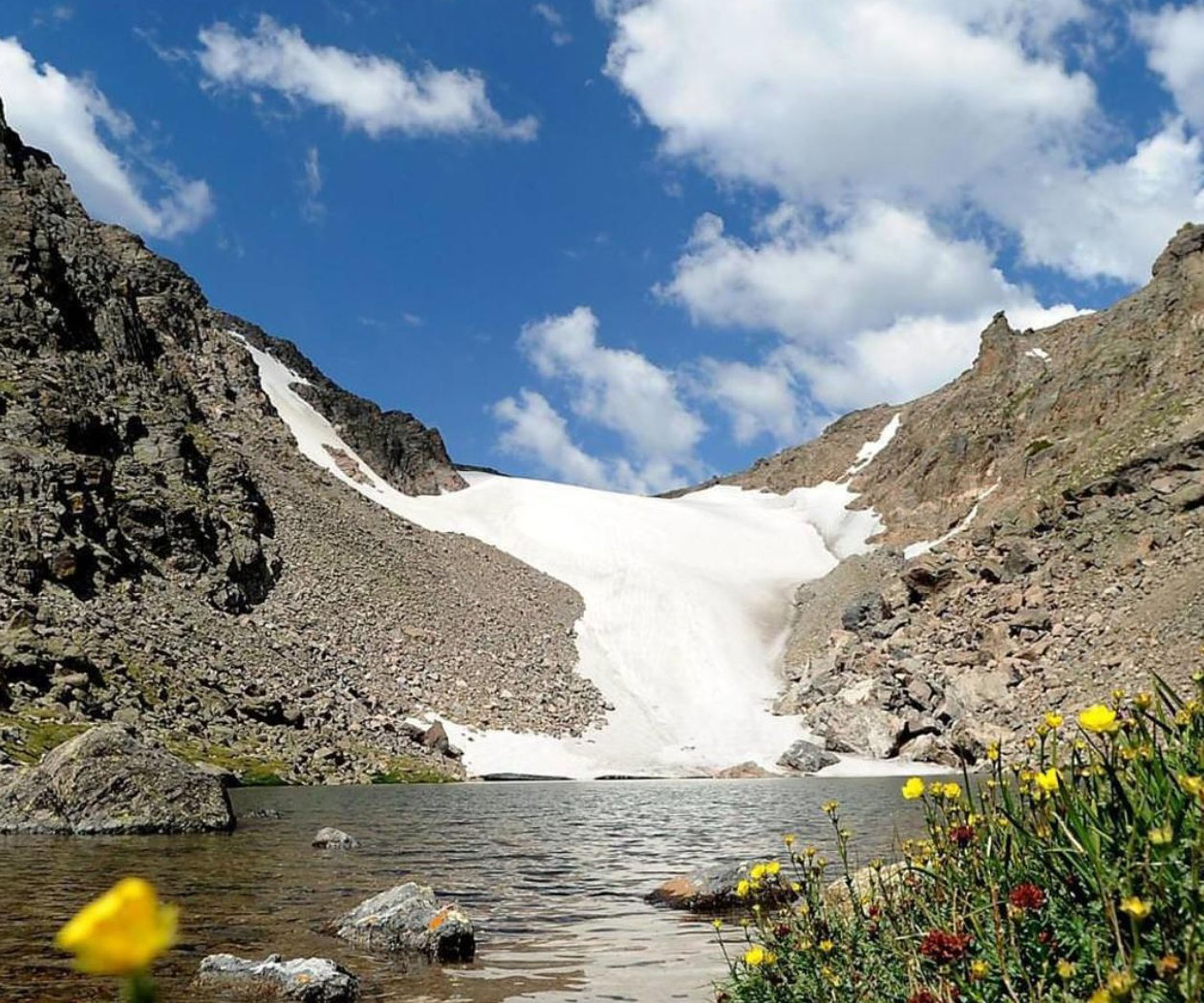 gobirdingman_beak-and-talon-snowy-slope-reflection-lake-yellow-flowers