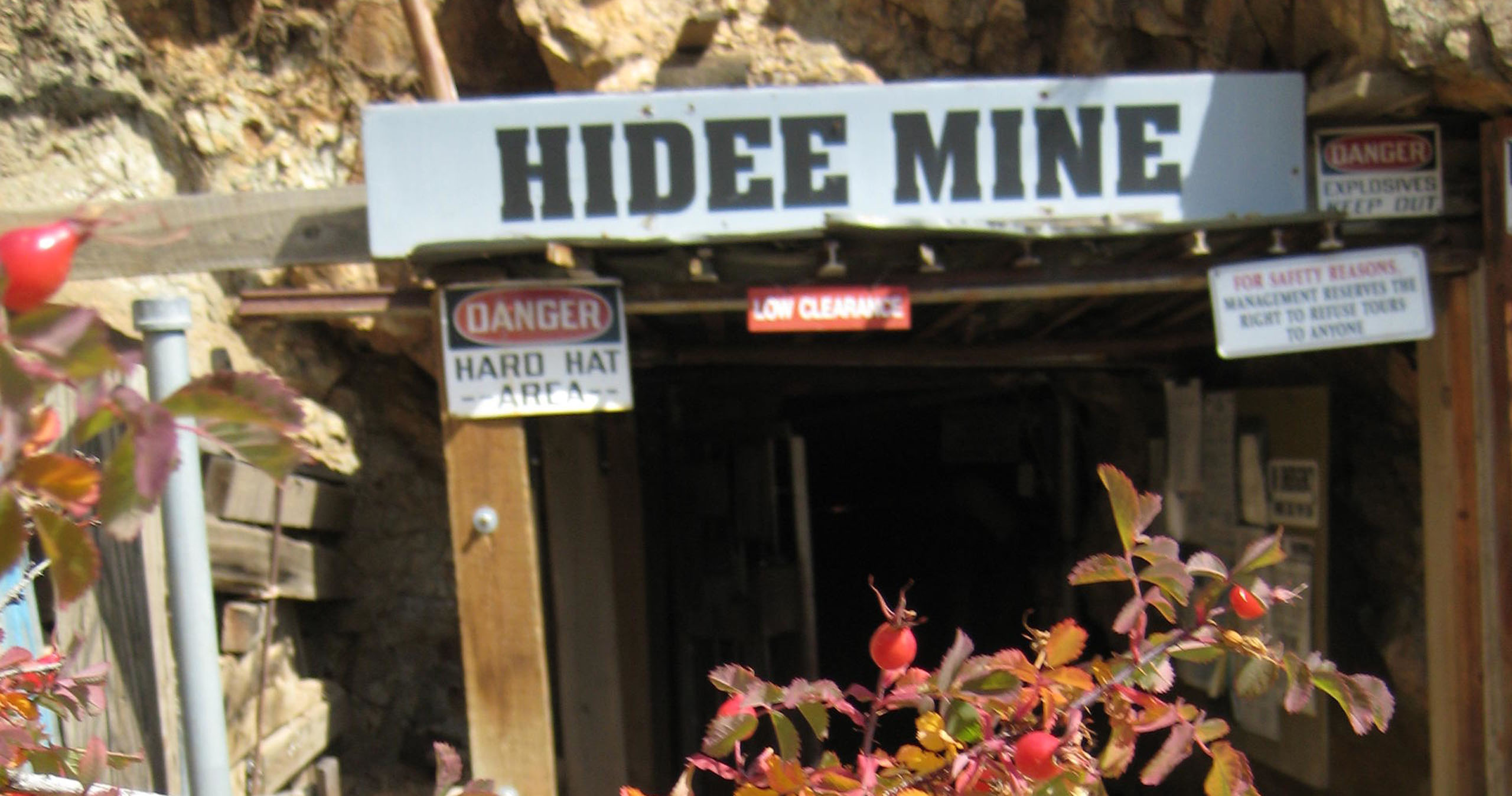hideegoldmine_underground-real-gold-ore-tour-with-hand-hidee-mine-entrance-signs-flowers