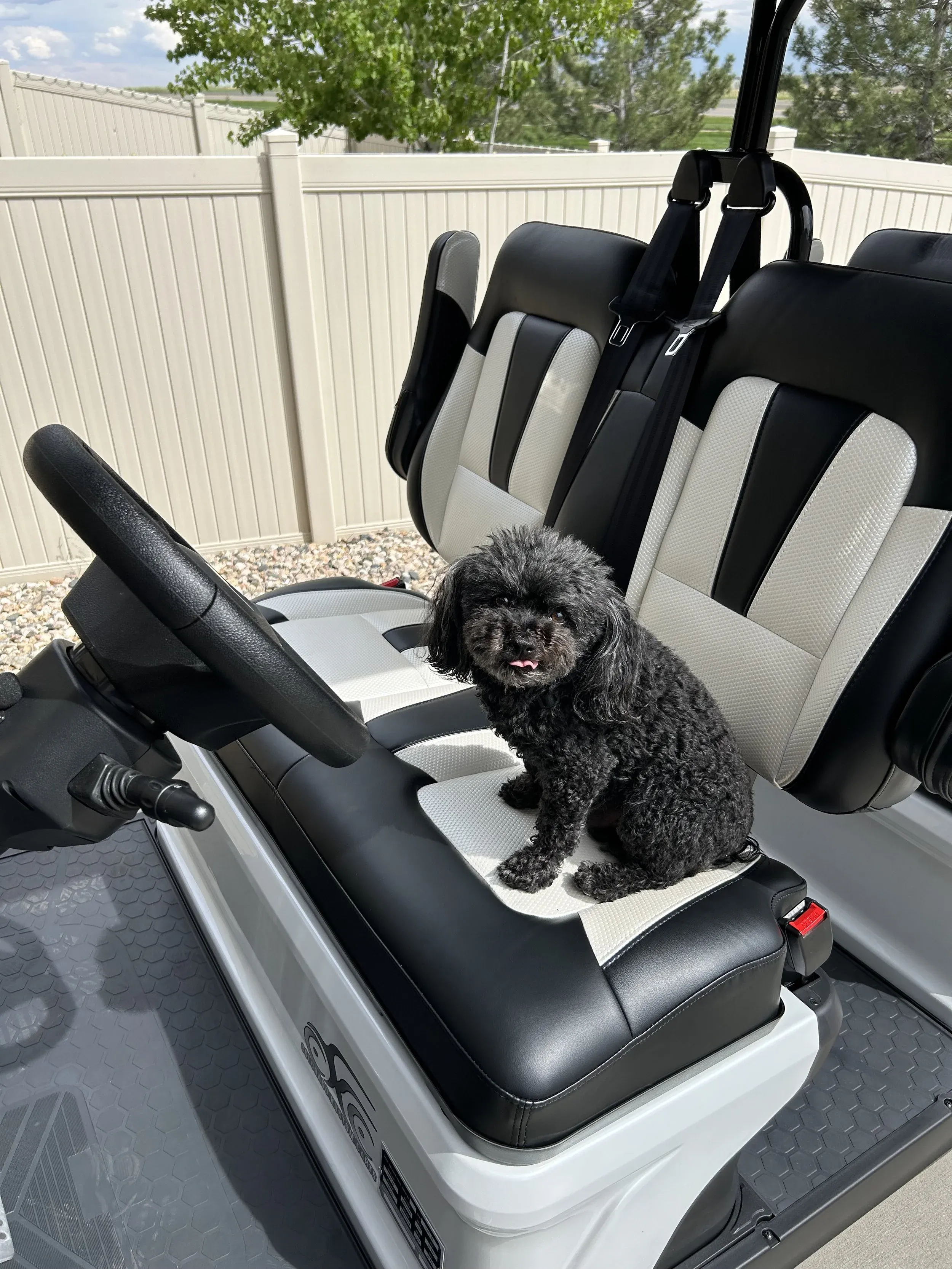hopcarts_distilleries-tour-dog-golf-cart-black-white-seats