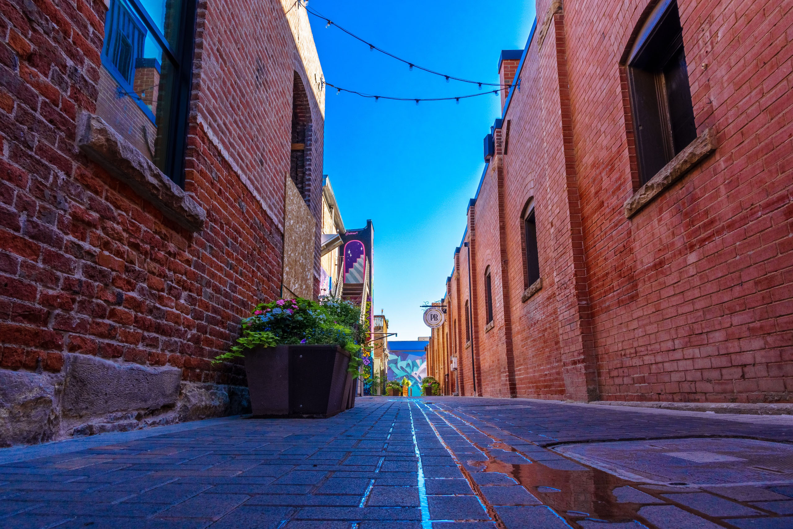 oldtownfoodtour_old-town-food-tour-brick-alleyway-flower-pot