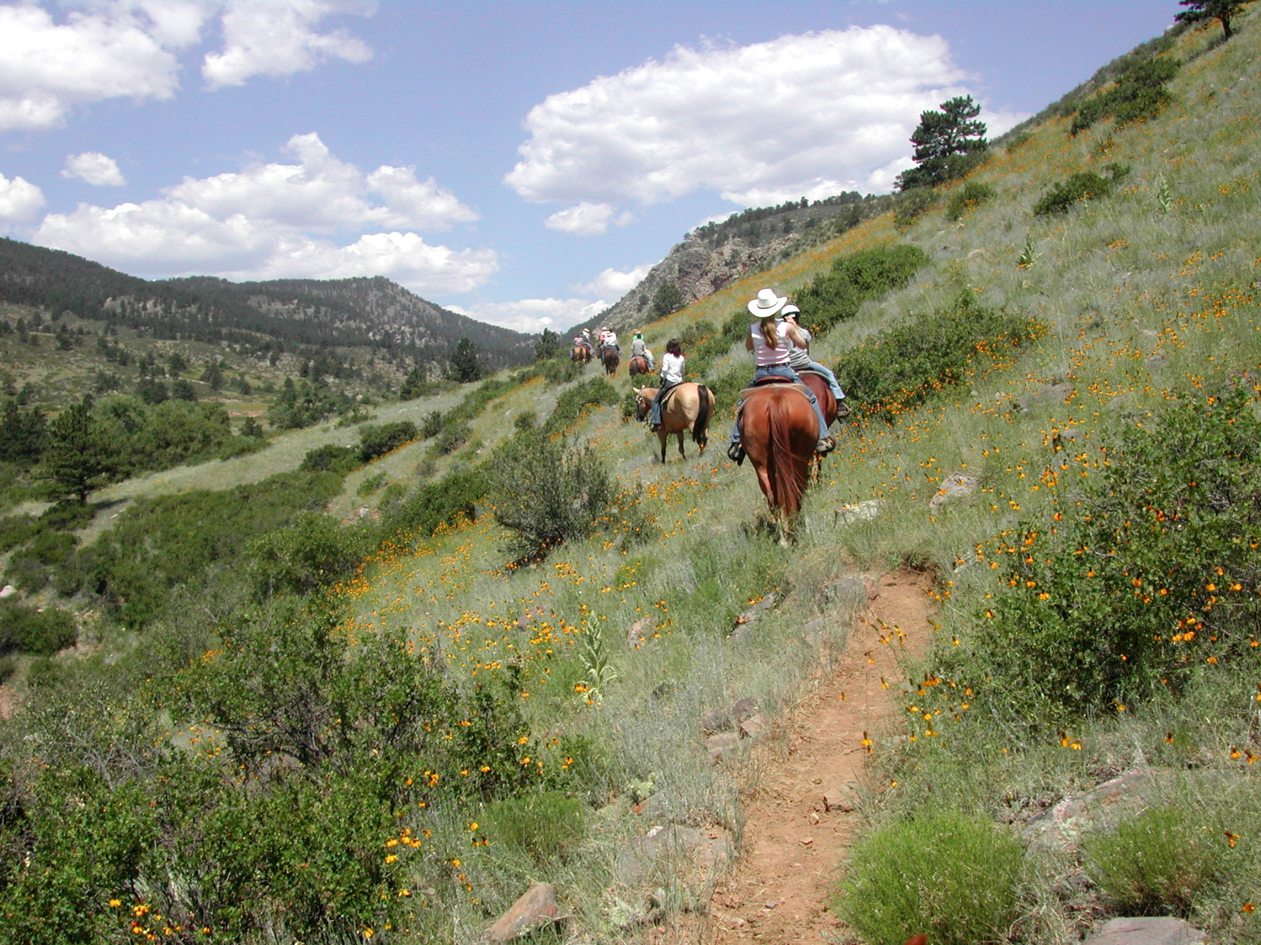 sylvandale_1-1-5-hour-scenic-trail-ride-horseback-riders-flower-covered-trail-colorado