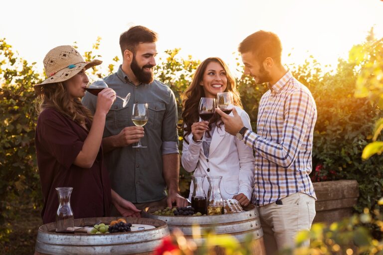 thehillsidevineyard_blendings-wine-experience-two-couples-enjoying-wine-board