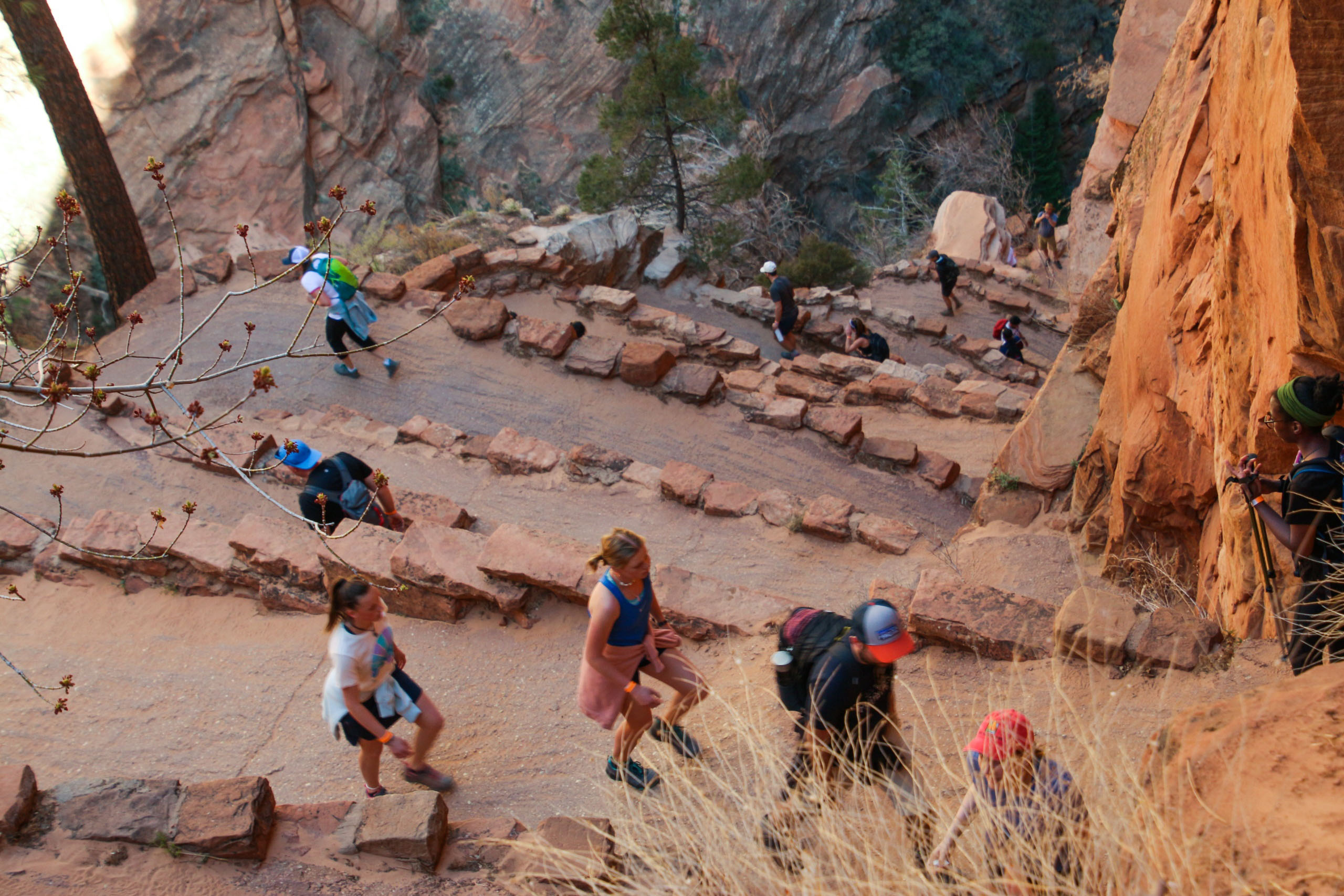vermilioncliffs_famous-zion-narrows-guided-hike-with-all-zion-narrows-hiking-trail-steps