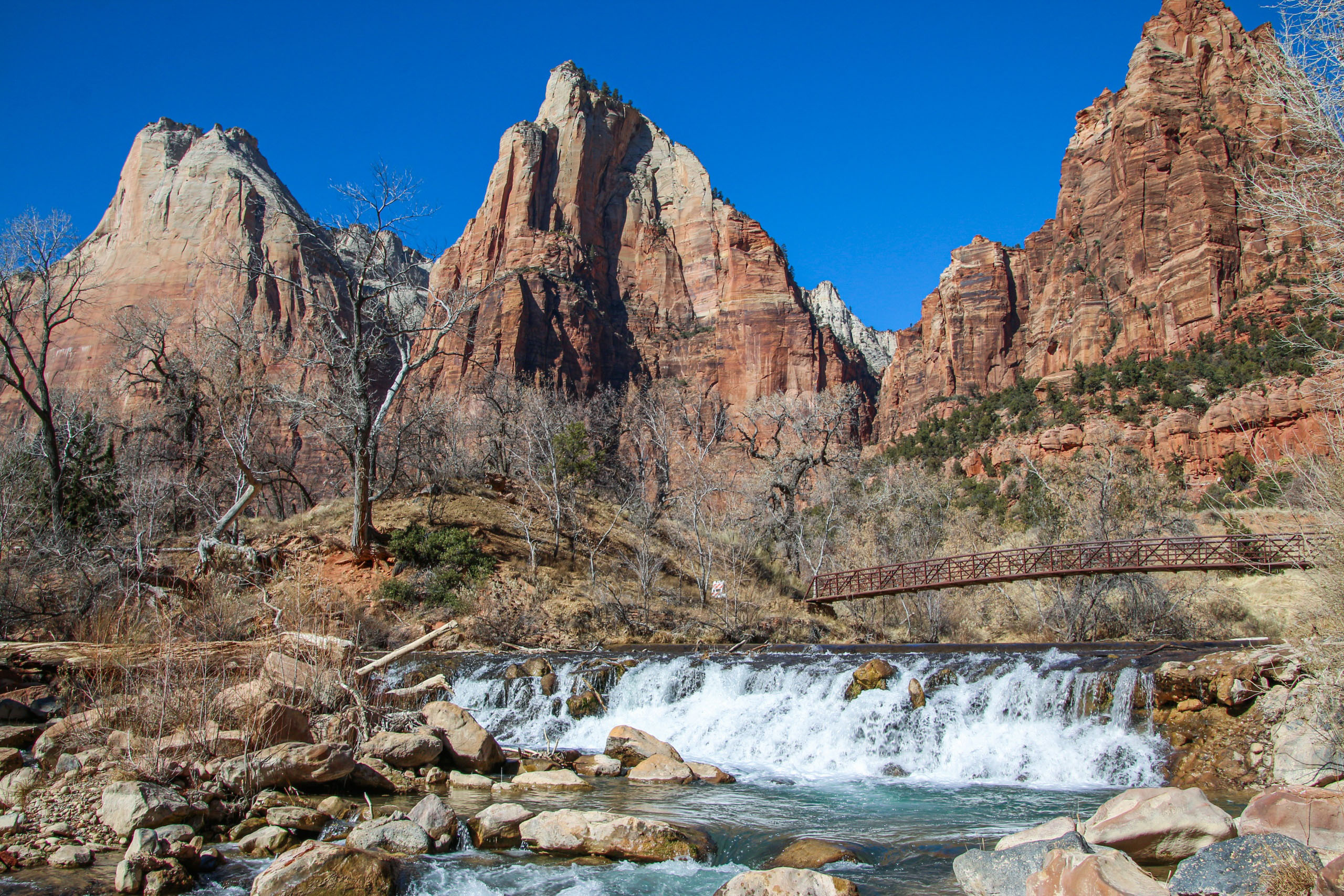 vermilioncliffs_famous-zion-narrows-guided-hike-with-all-zion-red-rocks-river-bridge