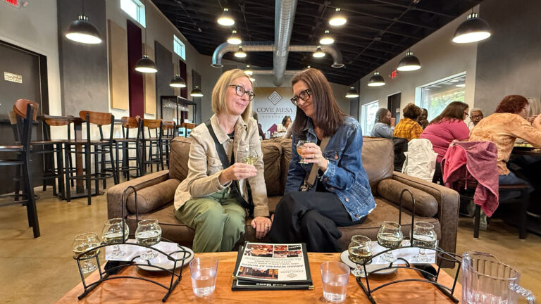 winetoursofsedona_vines-vistas-kayak-and-wine-experience-women-wine-tasting-couch